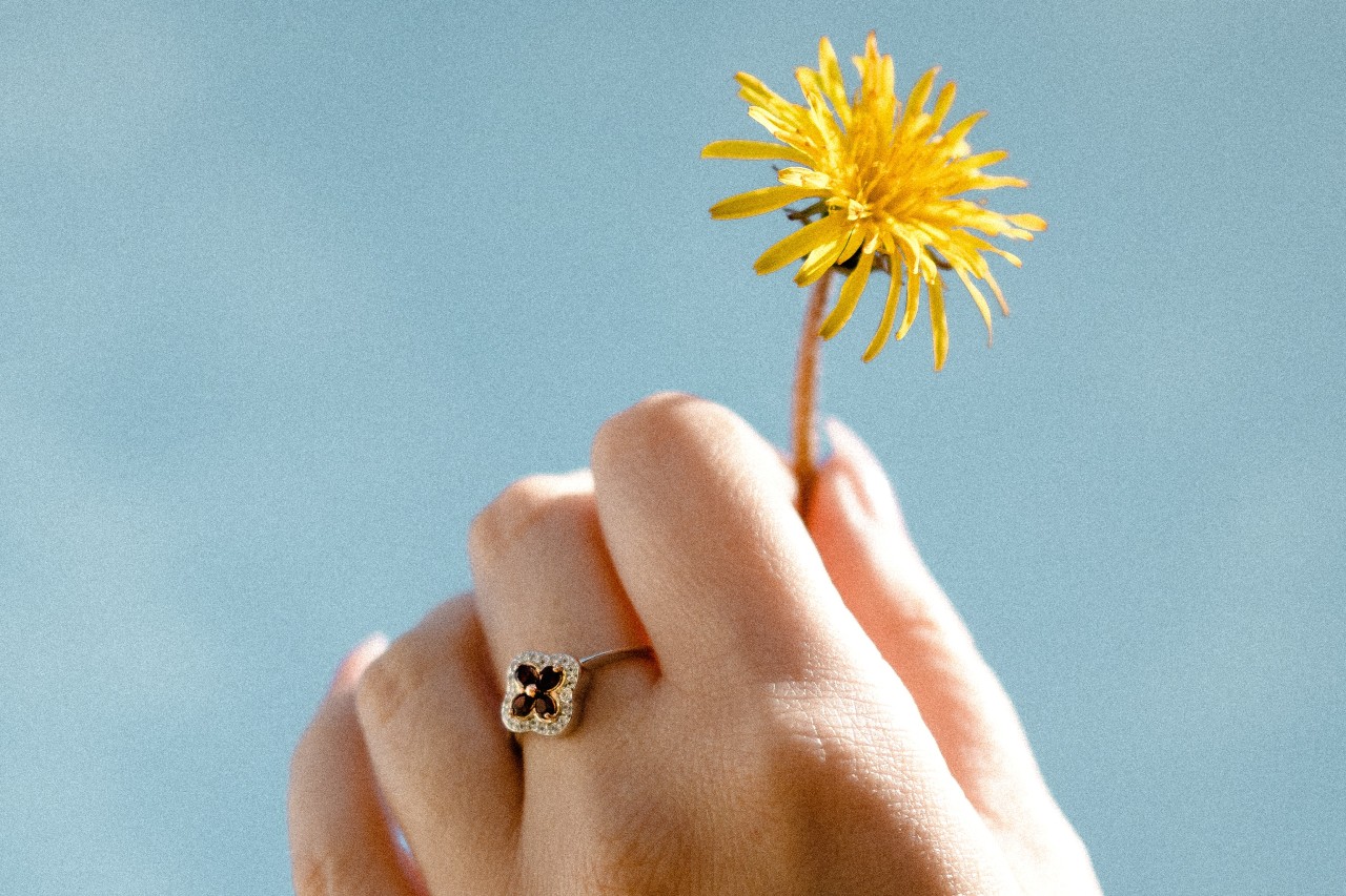 Hand holding a dandelion and wearing a gold and ruby fashion ring