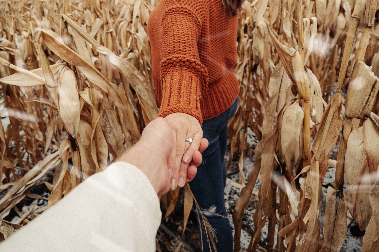 An engaged couple holds hands as they walk through a dried corn field
