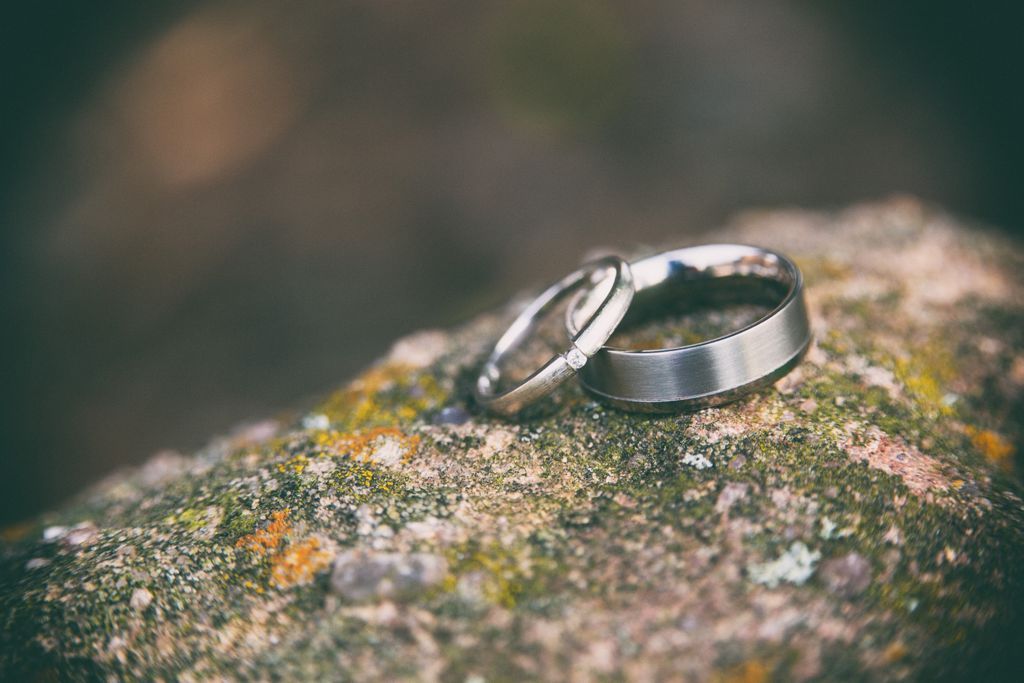 A pair of platinum wedding bands sit together on a tree branch.
