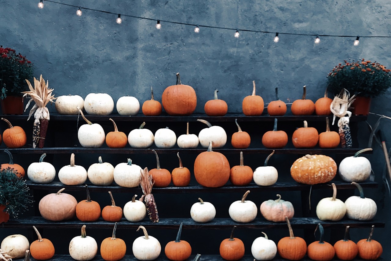 A display of white and orange pumpkins on black shelves.