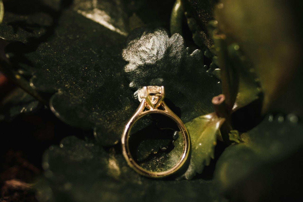 a yellow gold solitaire engagement ring on a bed of leaves
